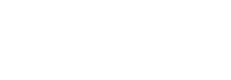 Logo - Eaglerise